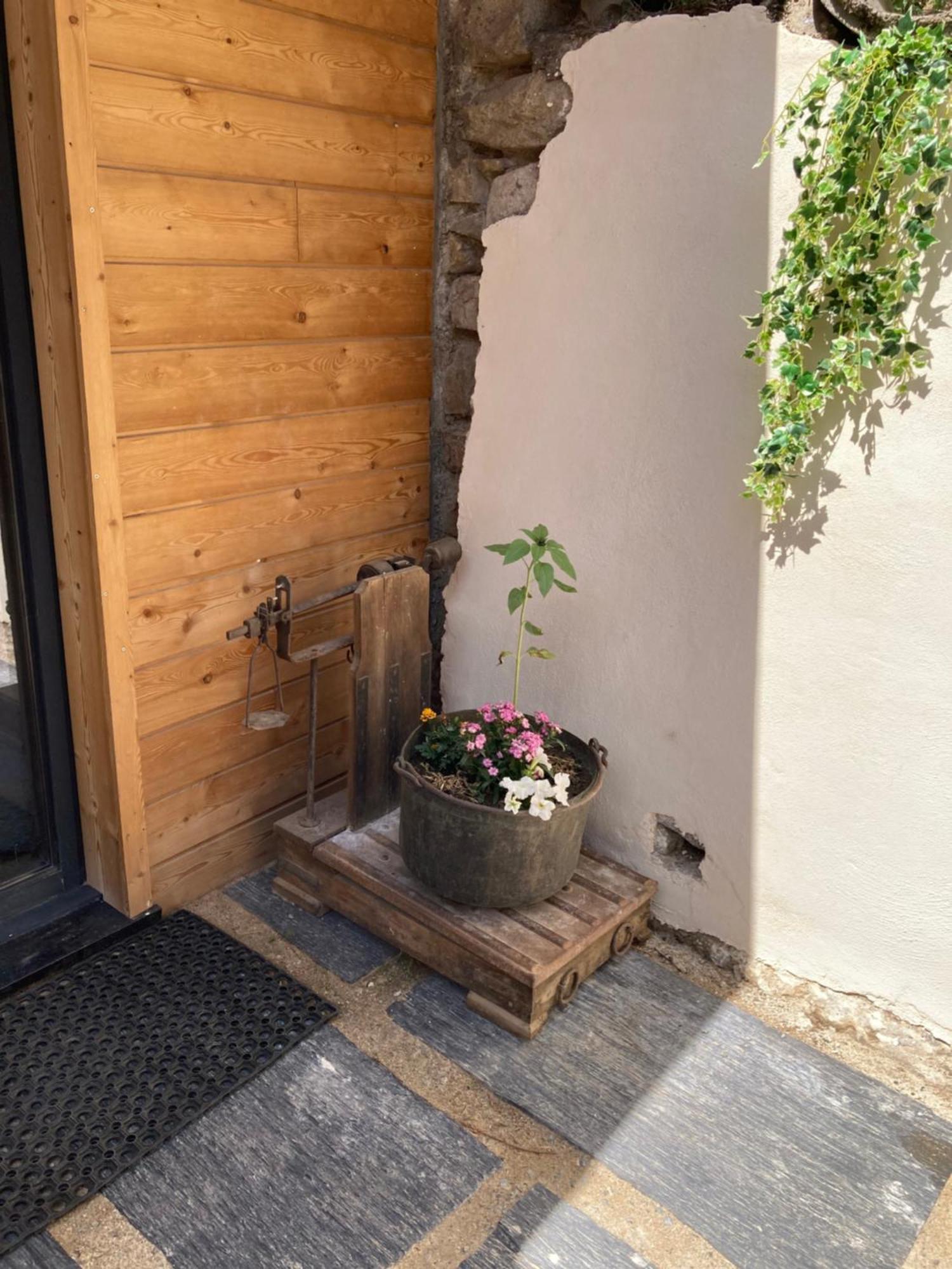 Chalet Melba Le Clos Des Ours マトマール エクステリア 写真
